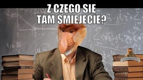 O SZKOLE